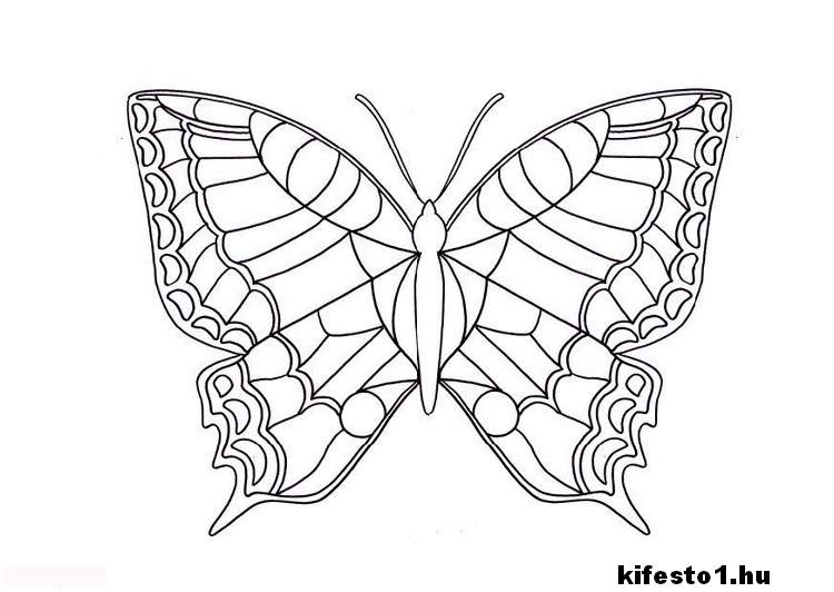 pillangós 32 kifestő nyomtatható
